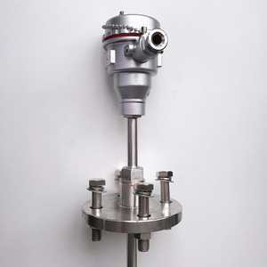 Haichen tốt nhất người bán PT100 pt1000 bạch kim RTD thăm dò cảm biến nhiệt độ với nhiệt túi - Product Image 6