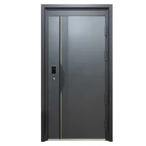 Индивидуальный дизайн двери Безопасности Двойная алюминиевая створчатая стеклянная дверь