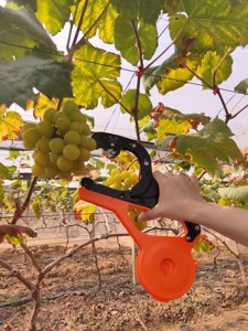Machine à lier les plantes Tapener pour vignes, <span class=keywords><strong>tomates</strong></span>, raisins, concombres – Outil <span class=keywords><strong>de</strong></span> fixation <span class=keywords><strong>de</strong></span> jardin avec ruban et agrafes OEM - Product Image 2