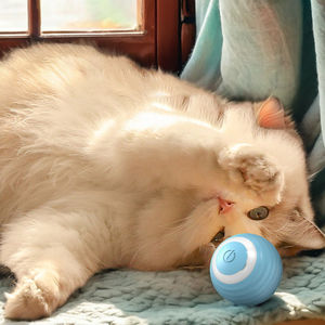 Nuovo giocattolo elettrico Smart per cani gatti una ruota per gatti Chengbei Silicone,abs giocattoli interattivi per gatti dello spazio esterno - Product Image 3