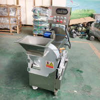 Industriële Groentesnijder Droog Fruit Kokosnoot Papaja Ananas Chili Peper Komkommer Snijmachine Te Koop