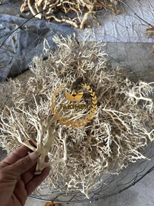 أفضل سعر للخشب الطافي والخشب الطري جذع طبيعي حوض أسماك خشب طافي حوض أسماك نبات حوض السمك ديكور خشب جدعة شجرة جذر الوقواق - Product Image 3