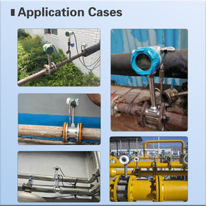 Meteran aliran Gas Digital akurasi tinggi meteran aliran udara terkompresi meteran aliran pusaran uap Gas alami - Product Image 6