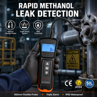 Détecteur de fuite de gaz combustible portable HIREP avec sonde flexible col de cygne IP65 ATEX pour alarme de fuite de gaz naturel