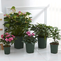 Pot Tanam Plastik PP Bulat Modern Putih Hijau 15-28CM untuk Pembibitan Bunga, Tanaman Rumah, dan Kebun