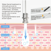 Appareil professionnel 5 en 1 d'hydrodermabrasion, jet d'eau et d'oxygène, peeling facial, analyseur de peau, équipement de beauté