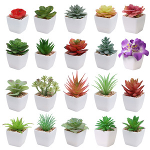 Populaire Mini Realistische Kunstmatige Vetplanten In Witte Plastic <span class=keywords><strong>Pot</strong></span> Voor Thuis Kamer Plank Bureau Decor - Product Image 2
