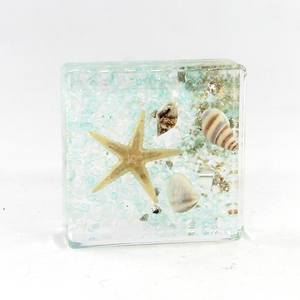 Bán Buôn Tự Nhiên Nhúng Vỏ Biển + Nhựa Mẫu Lớn Vỏ Biển Trong Nhựa Tự Nhiên Thủ Công Mỹ Nghệ Tiểu Thuyết Và Quà Tặng Sáng Tạo - Product Image 3