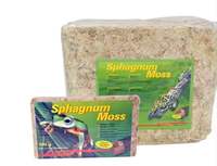 Mousse de tourbe de sphagnum naturelle séchée en gros pour plantes, mousse de sphagnum de Nouvelle-Zélande pour orchidées et pelouses, 10 kg