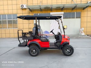 Carrito de Golf Eléctrico Barato de Fábrica en Oferta, 4x4, 60V 72V 3.5KW 4KW 5KW, para 4 Personas, con Bolsa para Carrito de Golf - Product Image 4