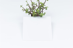 Folha De Policarbonato De 2mm Opala Branco Claro Transparente Policarbonato Pc Folha Sólida - Product Image 2