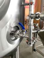 Réservoir de fermentation de bière Unitank 300L 500L Réservoirs de fermentation de microbrasserie à vendre / Prix Réservoir de fermentation