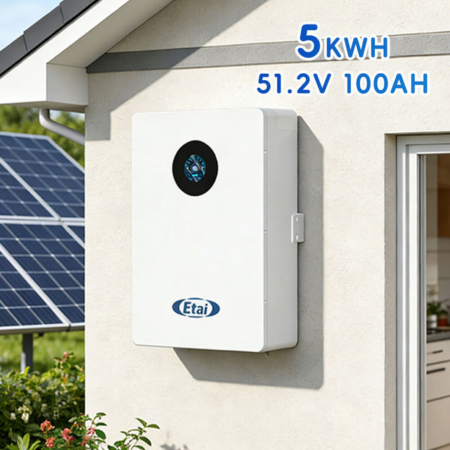 Residential Power Wall LiFePO4 Battery 5kWh 10kWh 15kWh 20kWh 51.2V Solar Home Storage Wall Mounted IP54 Case Cabinet With BMS