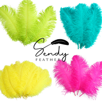 Plumes de carnaval, plumes décoratives, plumes d'autruche pour mariage, costumes, artisanat, décoration, coiffure de danse, fête, vacances