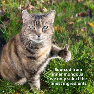 ทรายแมวเบนโทไนต์ 40 จิน แพ็คสุดคุ้ม 10 กก. <span class=keywords><strong>ขาย</strong></span>ส่ง เม็ดเล็ก ทรายผสมแป้งมันสำปะหลัง จับตัวเป็นก้อนเร็ว ดับกลิ่น กำจัดฝุ่น ทรายเต้าหู้ - Product Image 4