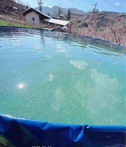 Tanque de stock galvanizado Aqua Culture Tarpaulin Fish Pond Fish Tanks Farm Aquaculturelarge Snow Crab - Product Image 6