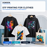 Nouvelle imprimante DTF à plat double tête DOMSEM 30 cm avec têtes d'impression Epson F1080 pour vêtements, autonome ou avec secoueur de poudre