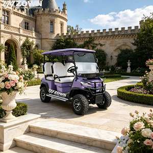 Carrito de Golf Eléctrico de 4 Ruedas Económico con Sistema de Luces LED para Sitios Turísticos y Clubes, Pedidos al por Mayor - Product Image 1