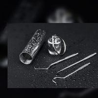 Ensemble de cure-dents portables réutilisables en acier inoxydable argenté, 7 pièces, hygiène buccale, outil de nettoyage dentaire facile à utiliser, boîte en forme de brosse