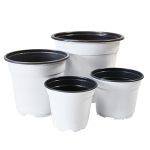 Pots de semis biodégradables fabriqués en Chine pour les plantes de pépinière - Product Image 6