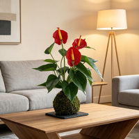 Vente en gros : Anthurium artificiel rouge à toucher réel, Kokedama, boule de mousse, bonsaï, fausse plaque d'anthurium pour la décoration de la maison, du bureau et du bureau de travail