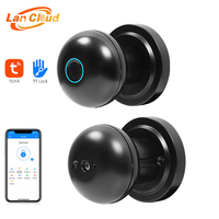 Tuya App électronique maison empreinte digitale appartement intelligent sécurité Intelligent poignée intelligente serrure boule bouton
