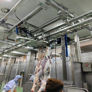 Équipement d'abattage en acier inoxydable, ligne d'abattage de bétail complète, équipement clé en main halal, projet d'abattoir de bovins - Product Image 4