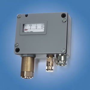 Pressostat de chaudière Construction robuste Fonctionnement fiable pour les systèmes de contrôle de chaudière et de processus Fourniture d'exportation en vrac - Product Image 1