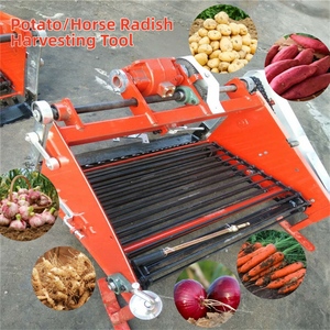 Récolteuse de patates douces à lame avant pour une récolte rapide et manuelle des cultures étalées à plat sur le champ - Product Image 2
