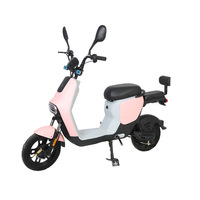 Sepeda Listrik Dewasa 48V 1000W Motor Hub Tanpa Sikat Baterai Asam Timbal 15AH Layar Digital Elektronik Pedal Bantu Kecepatan Maksimum
