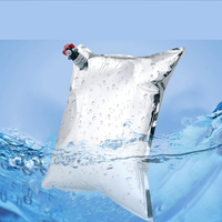 Sac à bavette en plastique aseptique personnalisé boîte 3L 5L 10L 20L Valve liquide pour jus de pomme café huile vin-emballage de qualité supérieure produit d'impression