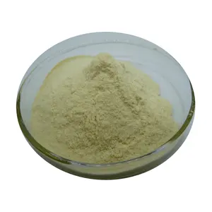 Màu Xanh lá cây chiết xuất hạt cà phê bột axit chlorogenic 25%