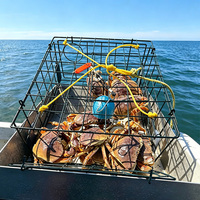 Corde marine en PP/PE non absorbante pour l'aquaculture de crevettes flottante