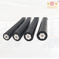 Cable de Alimentación Aéreo con Aislamiento de XLPE/PVC y Conductor de Aluminio, Personalizado, Conductor AAC AAAC ACSR, 1 KV/10 KV 70C Boqiang