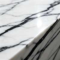 Dalle en pierre frittée Panda White 6 mm 1200x2700 mm polie avec des veines noires aspect marbre