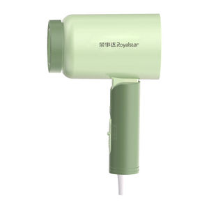 Royalstar Hair Dryer 220V AC Motor Ionic Foldable Compact Travel Portable Quiet High Power Household Use - Product Image 1
