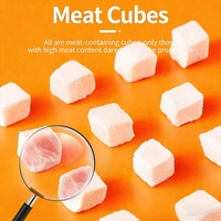 Friandises lyophilisées en gros pour chats et chiens, saveurs variées, conservation des nutriments, emballage personnalisé OEM disponible