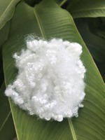 Haute qualité Polyester tridimensionnel creux siliconé 7D * 64mm HCS fibre discontinue pour animaux de compagnie 15D * 64MM Hcs