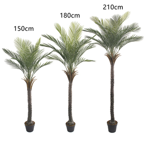 Nouveaux arbres tropicaux en plastique de style réaliste grande plante de simulation <span class=keywords><strong>palmier</strong></span> artificiel pour la décoration de bonsaï - Product Image 1