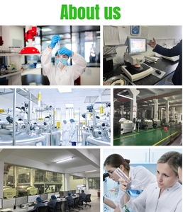 Farine de Gluten de Maïs Qualité Alimentaire 60% Protéines, Poudre de Protéines de Maïs pour Additifs Alimentaires pour Volailles, Aquaculture et Bétail - Product Image 6