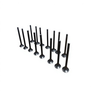 Fit for TATA Indigo Dicor Head Valve 279705125105 27970512510 Engine Inlet Exhaust Valve Auto Spare Parts Assy - Product Image 1