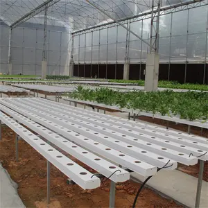 NFT hydroponic system China hydroponics nft channels for Watercress
