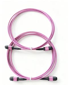 Dây nhảy sợi quang cụm MPO/<span class=keywords><strong>MTP</strong></span>/<span class=keywords><strong>LC</strong></span>/FC 40g/100g 12/16/24/48 lõi OM3/OM4 50 Gb/giây dây kết nối đa chế độ 200g/400g - Product Image 1