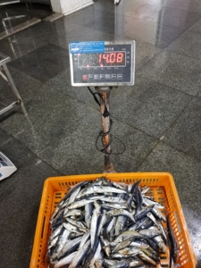 <span class=keywords><strong>ปลา</strong></span>ซาร์ดี<span class=keywords><strong>น</strong></span>ยอดนิยม <span class=keywords><strong>ปลา</strong></span>ซาร์ดี<span class=keywords><strong>น</strong></span>เซเว่นสตาร์ <span class=keywords><strong>ปลา</strong></span>ซาร์ดี<span class=keywords><strong>น</strong></span>แช่แข็งสำหรับอาหารกระป๋อง - Product Image 2