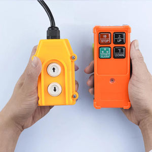 Control Remoto Inalámbrico F21-<span class=keywords><strong>2S</strong></span> para Elevador de Puerta Trasera de Camión, Polipasto Eléctrico y Grúa en Venta - Product Image 6