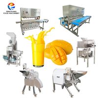 Fruit Mango Calamansi Squeezer Ananassap Extractor Machine Industriële Verse Sinaasappel Juicer Persmachine