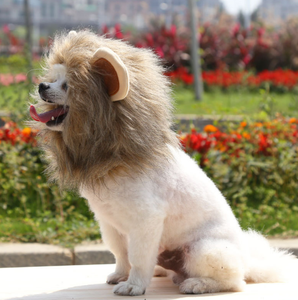 Nhà Máy Bán Buôn Có Thể Điều Chỉnh Móc Và Vòng <span class=keywords><strong>L</strong></span>ặp Fastener Vui Tóc Đảng <span class=keywords><strong>L</strong></span>ễ Hội Pet Dog Mèo Sư Tử Mane - Product Image 3