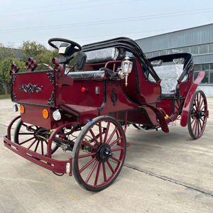 Vehículo de Transporte Especial Personalizado a Precio Ultrabajo de Fábrica, Carruaje de Caballos/Carruaje Eléctrico Turístico - Product Image 1