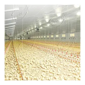 Cheap price automatic poultry farming easy chicken pen and coop house