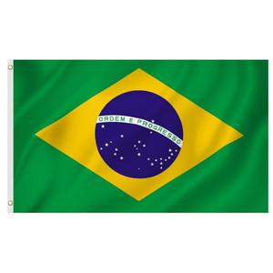 Drapeau Brésilien Promotionnel Extérieur 2026 pour Supporters de Football – Drapeau Personnalisé 3x5ft par Sublimation – Bannière Personnalisée avec Design Unique pour Cérémonies et Événements - Product Image 1